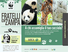 Tablet Screenshot of fratellidizampa.com